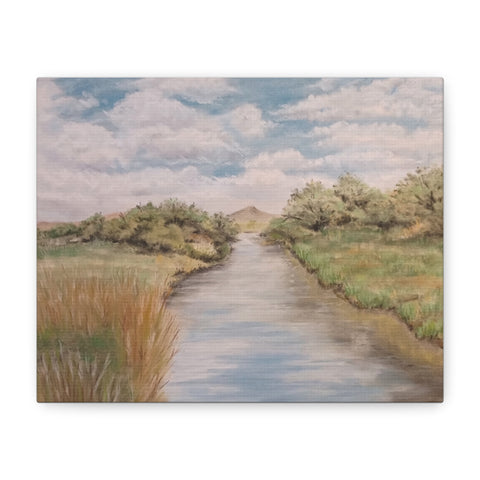 Sweetwater Rescue - Matte Canvas, Stretched, 1.25"