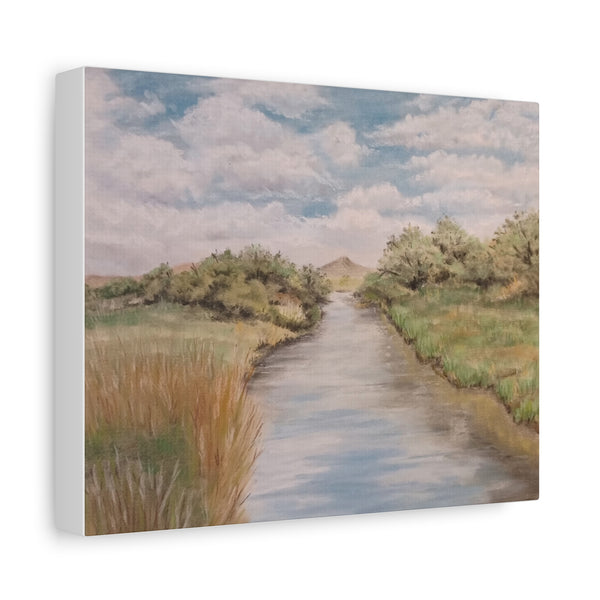 Sweetwater Rescue - Matte Canvas, Stretched, 1.25"
