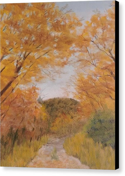 Serene Autumn Path - Canvas Print
