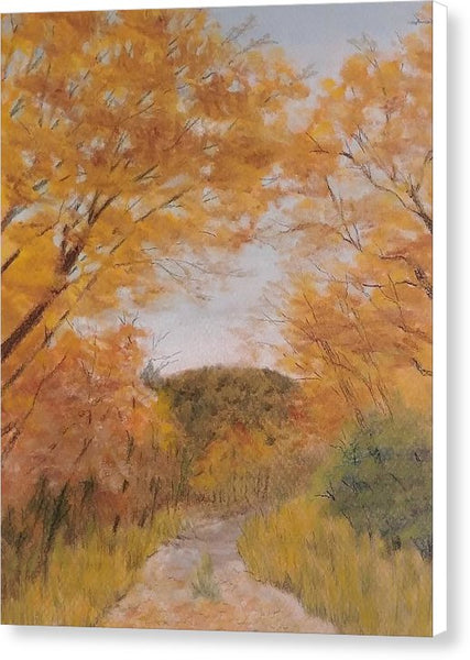 Serene Autumn Path - Canvas Print